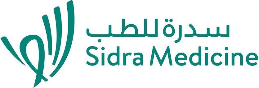 Logo 12
